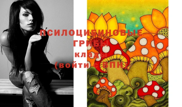 экстази Михайлов