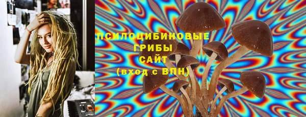 экстази Михайлов